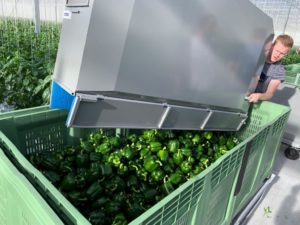 vacature-vzmuitzendgroep-inpak